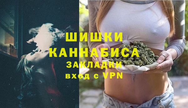 бошки Алексин