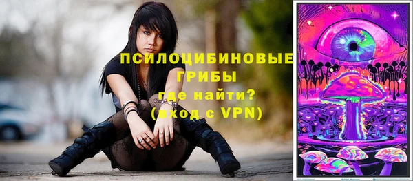 бошки Алексин