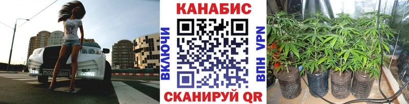 Марихуана марихуана Щёлково
